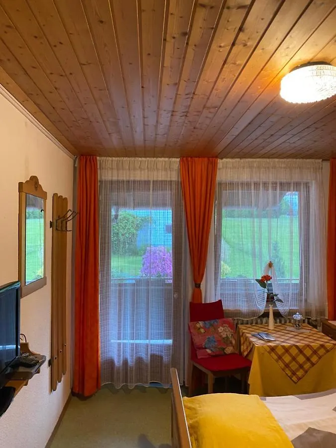 Pension Waldblick Spiegelau Guest house