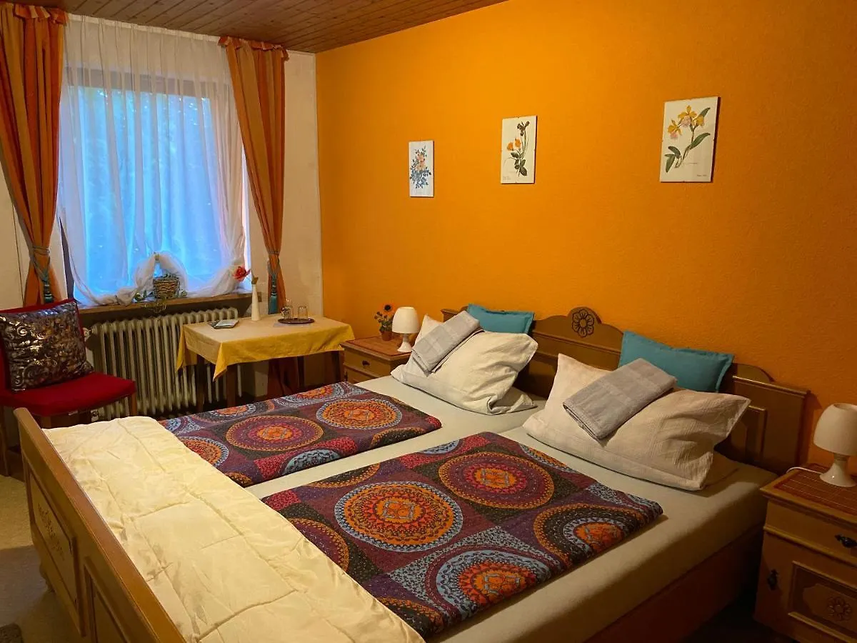 Guest house Pension Waldblick Spiegelau