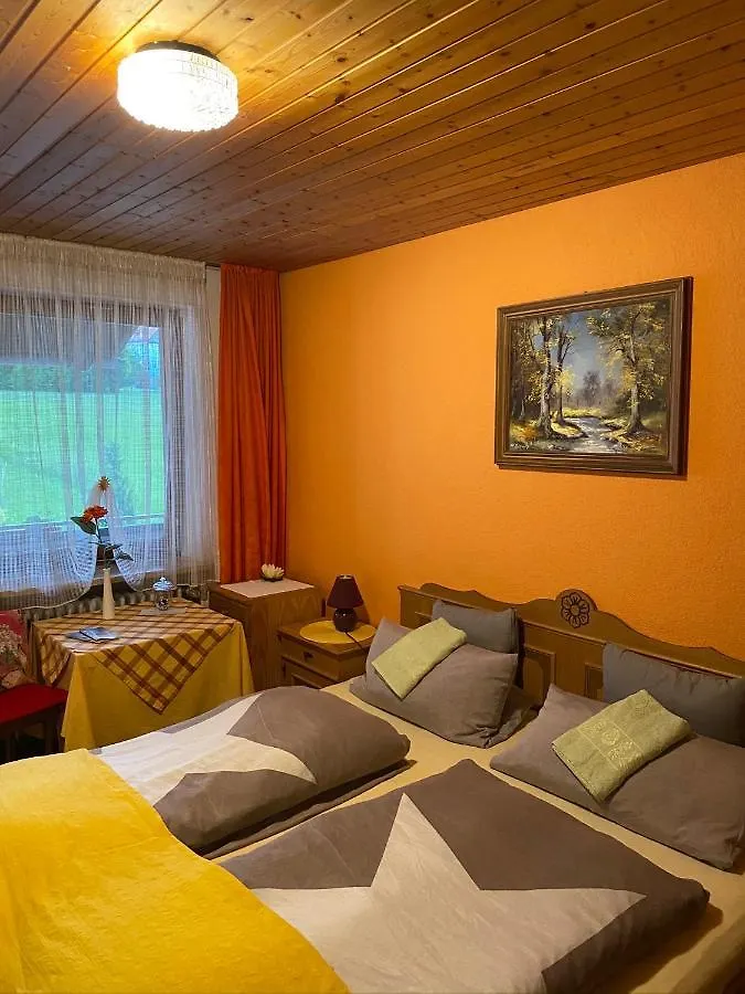 Guest house Pension Waldblick Spiegelau