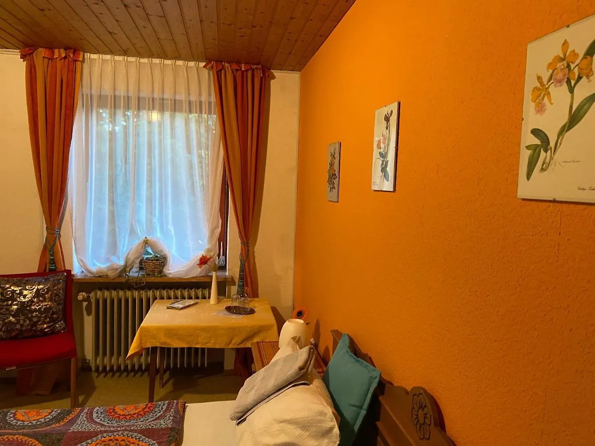 Guest house Pension Waldblick Spiegelau