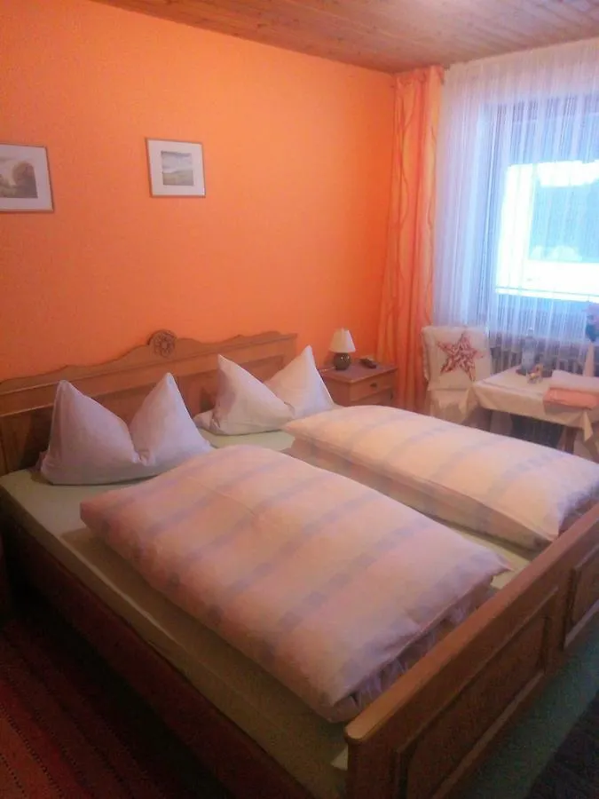 Guest house Pension Waldblick Spiegelau