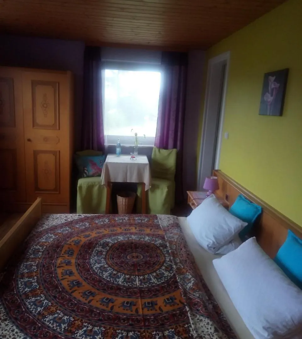 Pension Waldblick Spiegelau Guest house