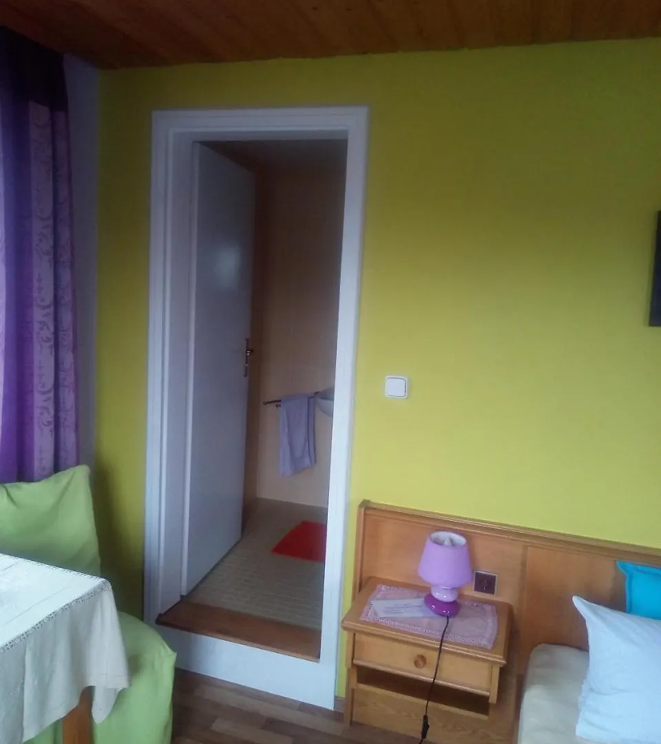 Pension Waldblick Spiegelau Guest house