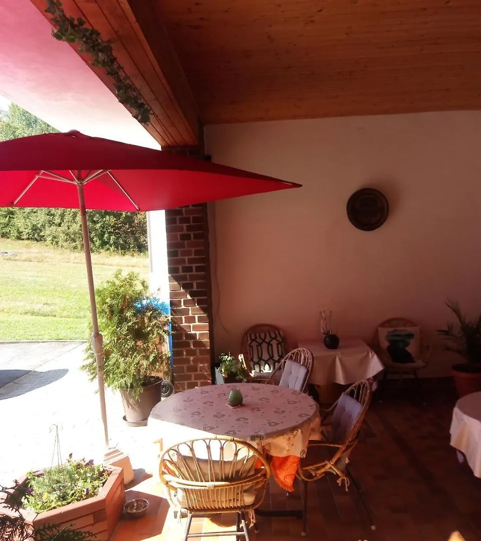 Guest house Pension Waldblick Spiegelau